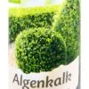 Compo Algenkalk Für Buchsbäume - 1 Kg