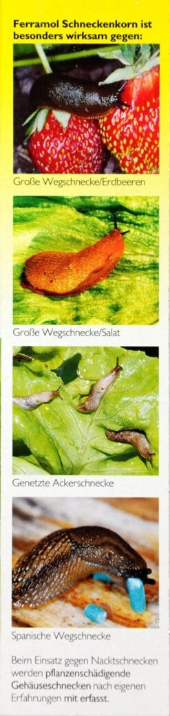 Neudorff Ferramol Schneckenkorn - 500 G 7 Neudorff Ferramol Schneckenkorn - 500 G -Compo Verkaufsgeschäft Neudorff20Ferramol20Schneckenkorn 32718 R01