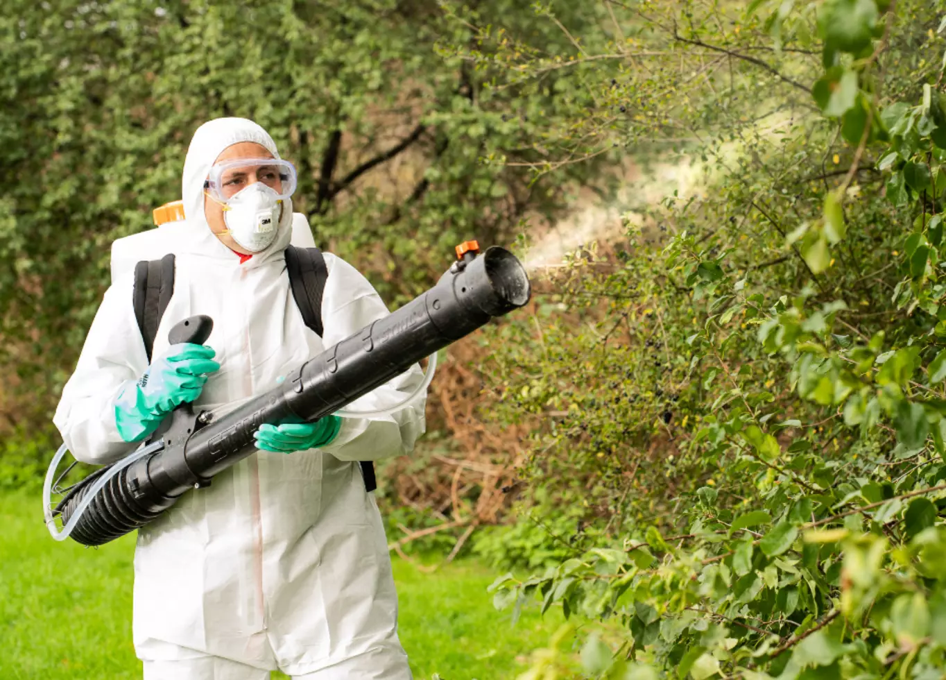 Compo Verkaufsgeschäft -Compo Verkaufsgeschäft csm stage schaedlingsbekaempfung f7ac6eec07